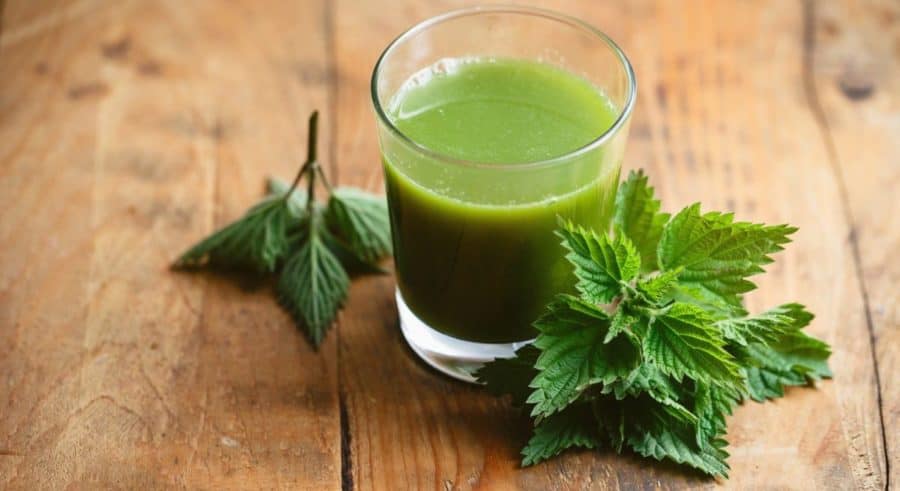 herbs for health and healing - herbal remedies boost immune system