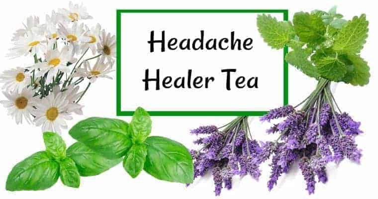 headache healer tea - healthynatured.com